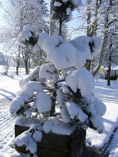 Foto vom Winter 2015/2016